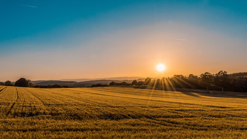 Albit agricultural field